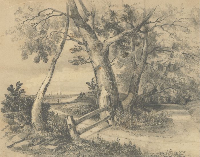 English School 19th Century Graphite Drawing - Woodland Landscape