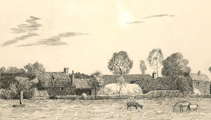 Alexander Blackwood - Late 19th Century Pen and Ink Drawing, Rural Farm Scene