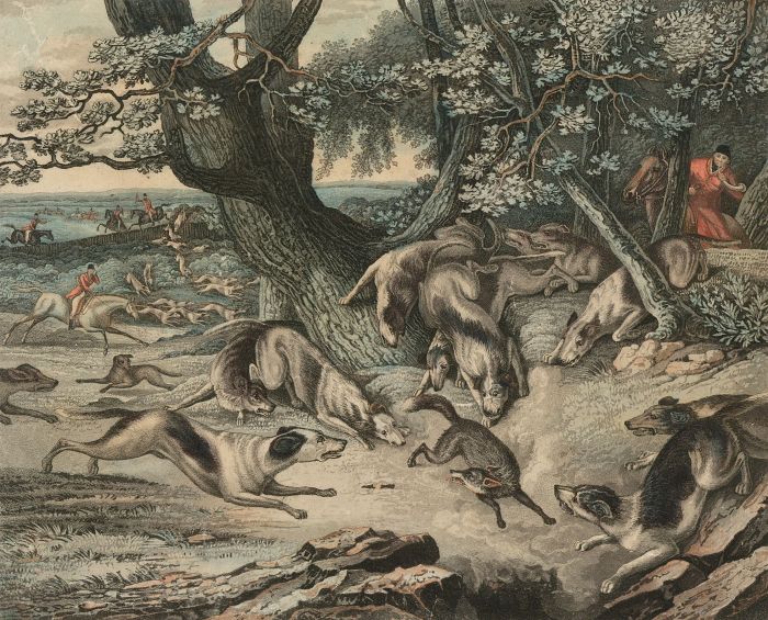 John Scott after Sawrey Gilpin  - 19th Century Engraving, Death of the Fox
