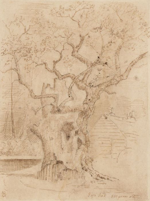 Alexander Blackwood - Late 19th Century Etching, Goff's Oak Tree