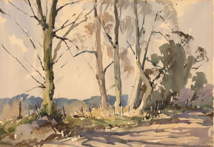 Mid 20th Century Watercolour - Beech Trees, Sussex