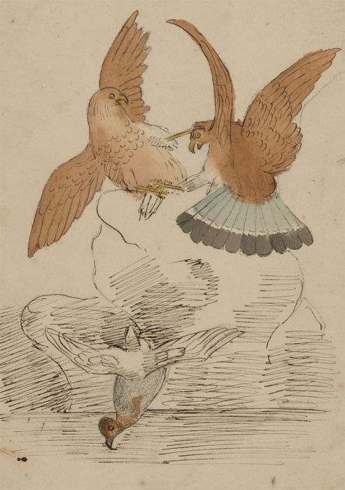 English School  19th Century Pen and Ink Drawing - Eagles Fighting