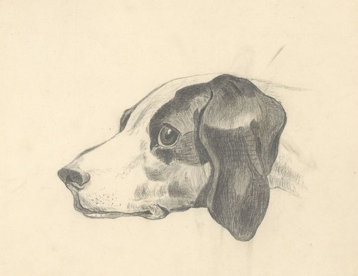 A Pair of  Late 19th Century Graphite Drawings - Dog Studies