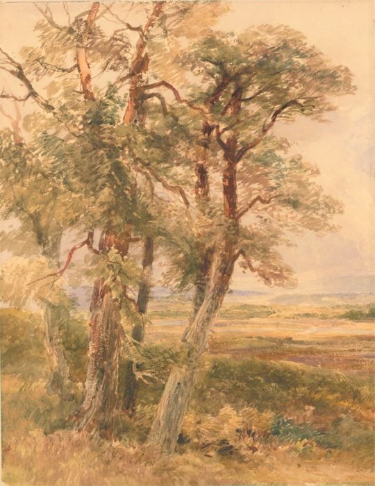 Continental School 19th Century Watercolour - Autumnal Landscape