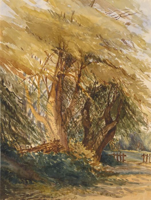 A. Dunster - Signed 1856 Watercolour, Woodland Landscape