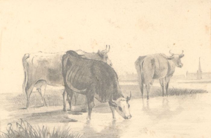 Set of Six 19th Century Very Fine Graphite Studies of Cows and Other Animals
