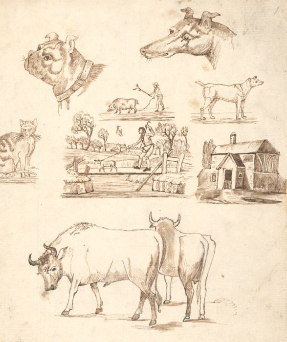 Set of 5 19th Century - Pen and Ink and Graphite Drawings of Animals and People