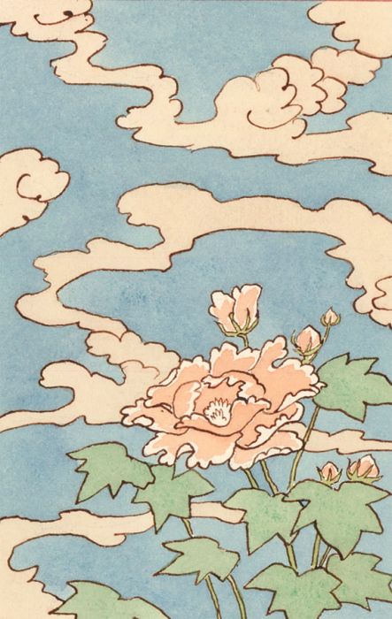 Pickford Walter (1873-1927) - Early 20th Century Watercolour, Floral Study