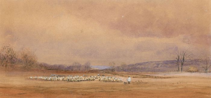 Eliza Westlake - 19th Century Watercolour, Shepherd and Flock at Oaklands
