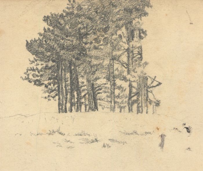 William Robert Hay - Early 20th Century Graphite Drawing, Group of Trees
