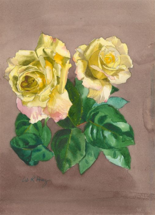 William Robert Hay - Early 20th Century Watercolour, Yellow Roses