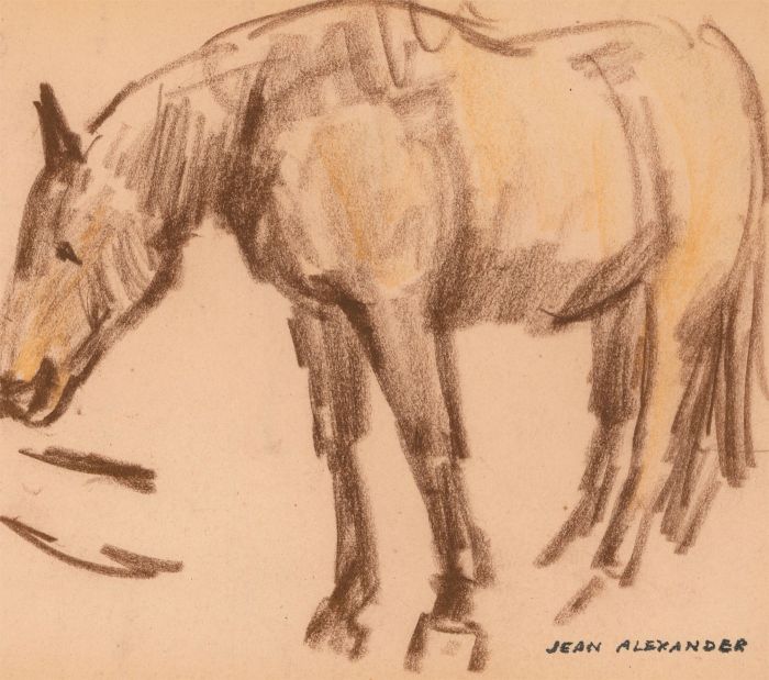 Jean Dryden Alexander (1911-1994) - Pastel, Study of a Horse