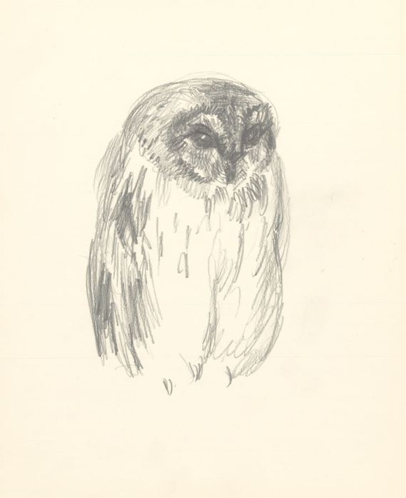 Glyn Morgan (1926-2015) - Set of Four Graphite Drawings, Studies of Birds