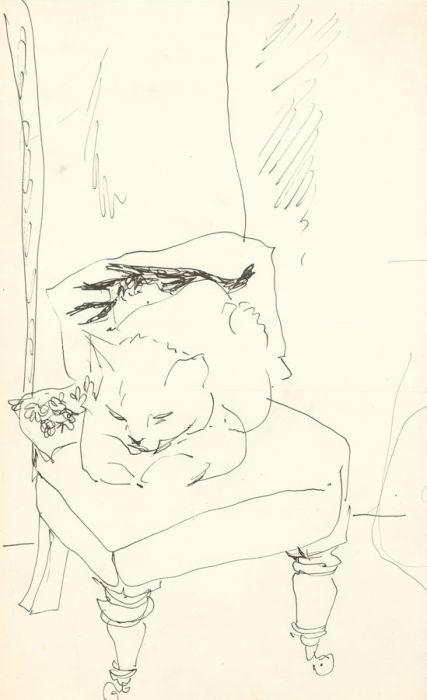 Glyn Morgan (1926-2015) - Pen and Ink Drawing, Cat in an Interior