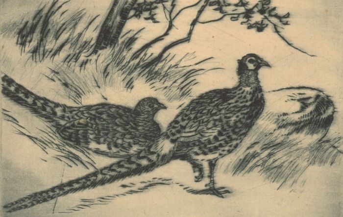 Signed Early 20th Century Etching - Pheasants