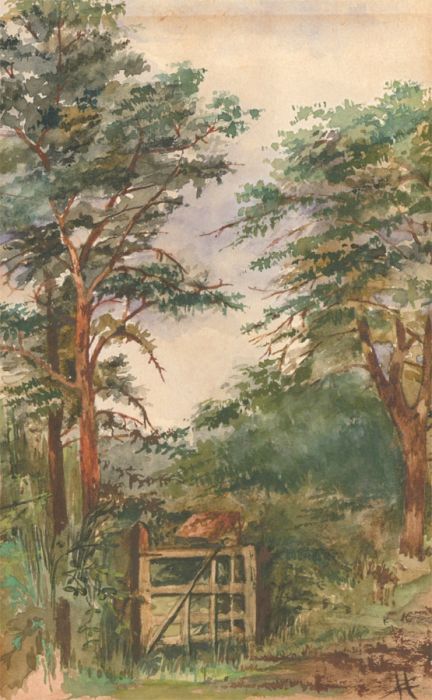 Monogrammed English School Late 19th Century Watercolour - Woodland Landscape
