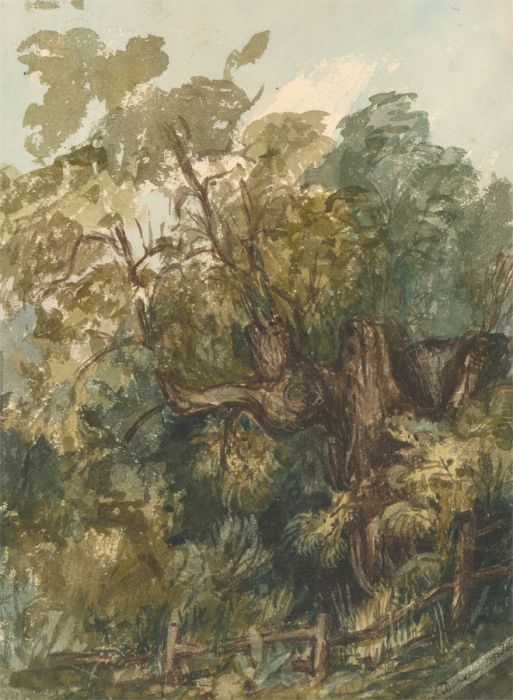 A. Dunster - Signed 1850 Watercolour, Woodland Landscape