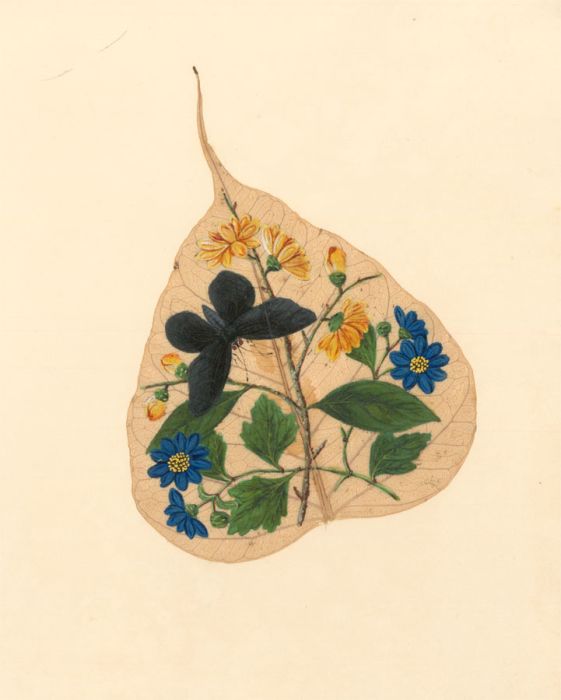 Very Fine Mid 19th Century Watercolour - Botanical Leaf Collage