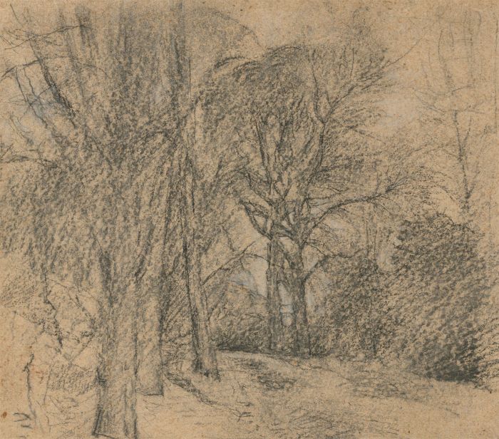 Maurice Feild (1905-1988) - Set of Six Charcoal Drawings, Woodland Landscapes