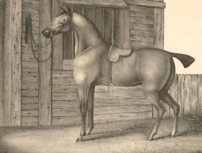 R. L. T - Fine 1844 Graphite Drawing, Study of a Horse