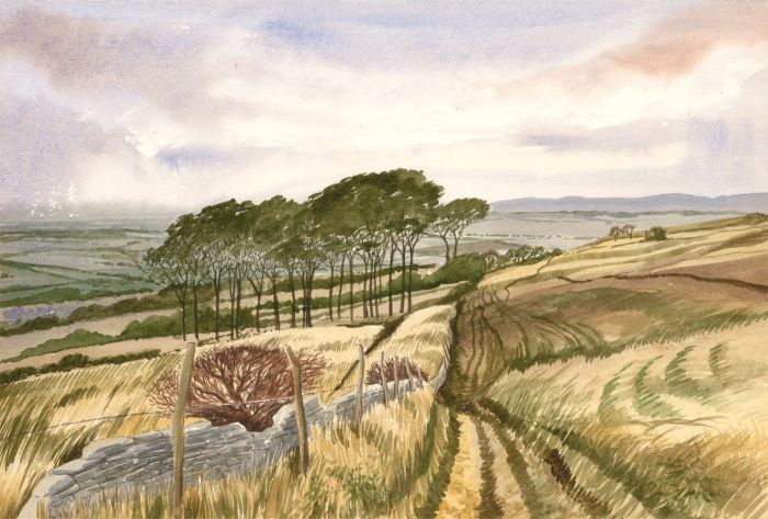 Sylvia Lapidge - Signed 1982 Watercolour, Cleeve Hill, Cotswolds