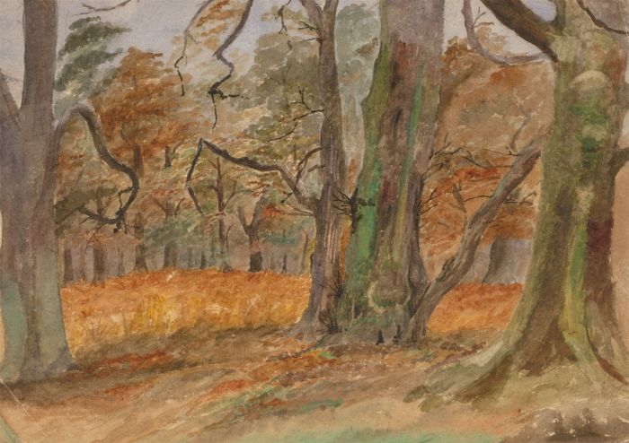1889 Watercolour - Autumn in Dunham Park