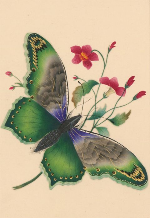 Mid 19th Century Watercolour - Green and Blue Butterfly with Red Flowers