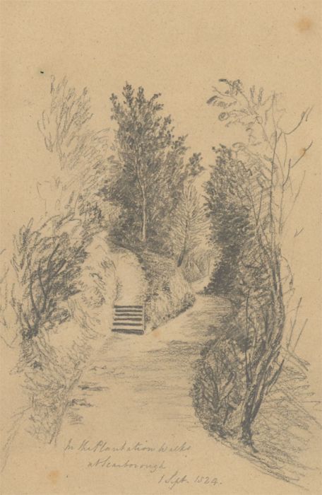 W. Jeffs - Fine 1824 Graphite Drawing, Plantation Walks at Scarborough