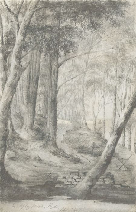 W. Jeffs - Fine 1836 Graphite Drawing, View in Apley Wood