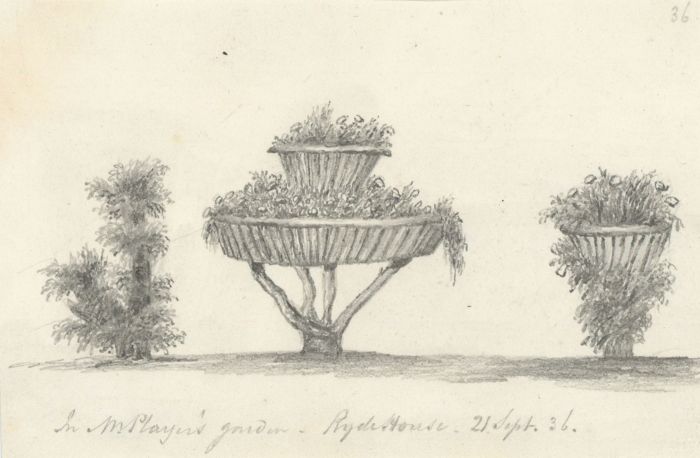W. Jeffs - Fine 1836 Graphite Drawing, Flowers at Ryder House