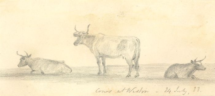 W. Jeffs - Fine 1833 Graphite Drawing, Cows at Weston