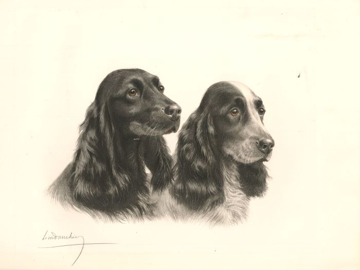 Léon Danchin (1887-1939) - 20th Century Lithograph, Cocker Spaniels