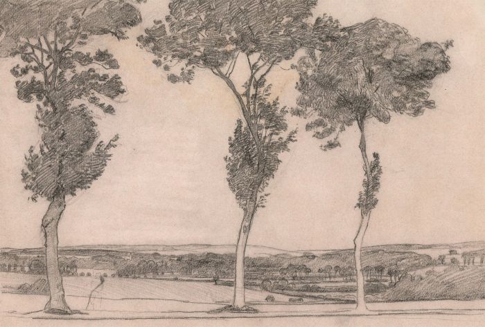 Arthur Ellis (1856-1918) - Late 19th Century Graphite Drawing, Study of Trees
