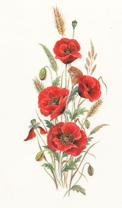 Frances Fry - Contemporary Watercolour, Poppies and Wheat with Mouse