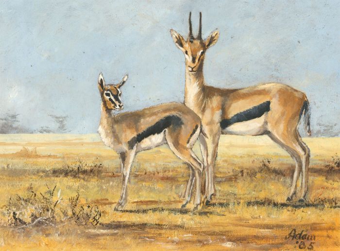 James Frank Adams (1923-2008) - 1985 Oil, Pair of Gazelle