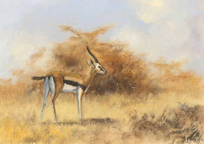 James Frank Adams (1923-2008) - Signed Contemporary Oil, The Gazelle