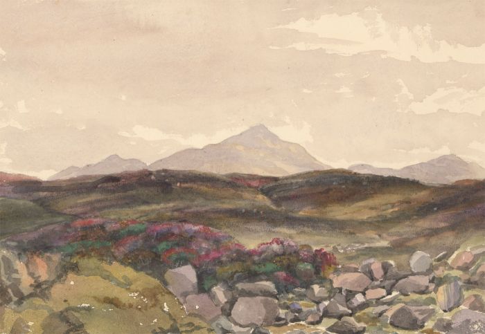 1858 Watercolour - Heathland Landscape