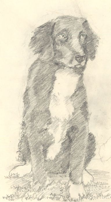 James Frank Adams (1923-2008) - Contemporary Graphite Drawing, Dog