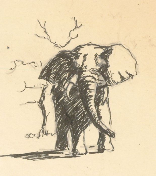 James Frank Adams (1923-2008) - Set of Four Pen and Ink Drawing, Elephants