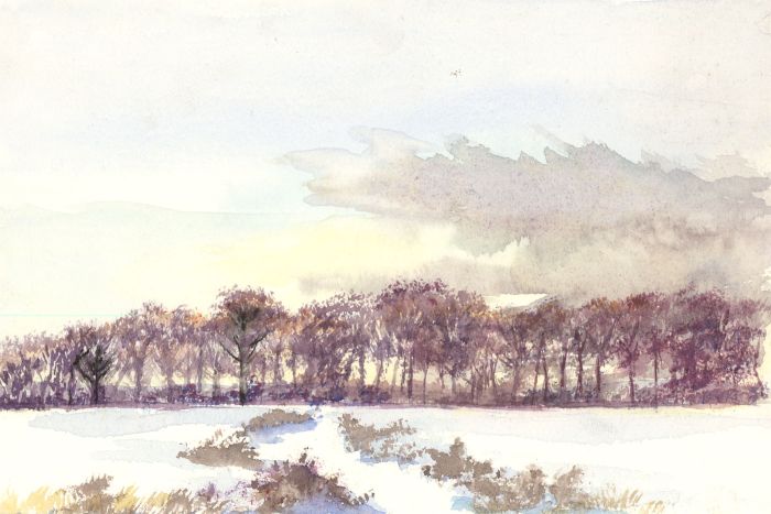 James Frank Adams (1923-2008) - Contemporary Watercolour, Winter Landscape