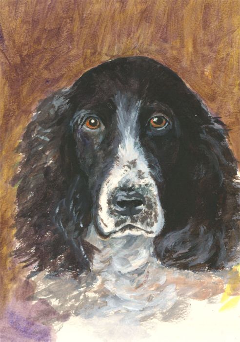 James Frank Adams (1923-2008) - Contemporary Gouache, Study of a Dog