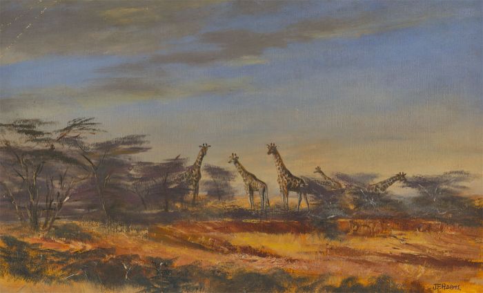 James Frank Adams (1923-2008) - Signed Oil, Giraffes in a Landscape