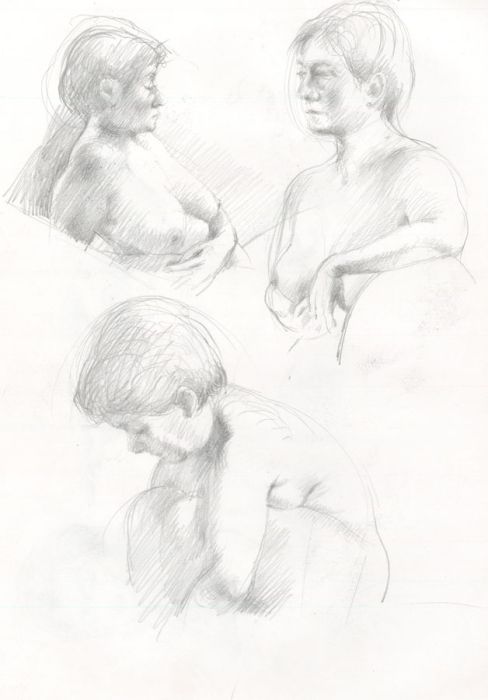 Contemporary Graphite Drawing - Studies of a Female Nude