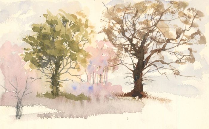 Robert Shuck - Contemporary India Ink, Study of Autumnal Trees