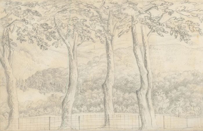 M.E. Bladeen - circa 1832 Graphite Drawing, Landscape near Buckland