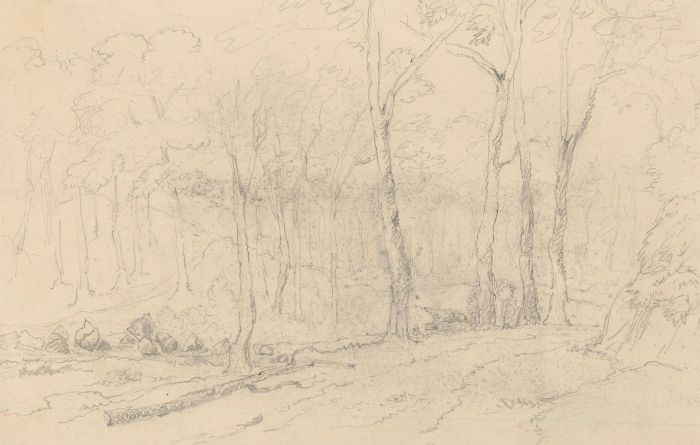 M.E. Bladeen - circa 1830 Graphite Drawing, Woodland Landscape