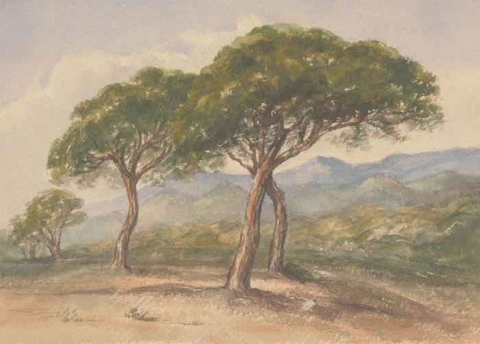 Margaret (Daisy) George - Mid 19th Century Watercolour, Trees in a Landscape