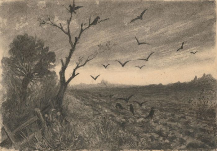 Margaret (Daisy) George - Mid 19th Century Charcoal Drawing, Birds in a Field