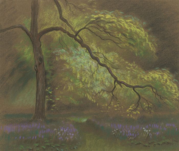 Fred Dymond - Mid 20th Century Pastel, Tree in a Woodland
