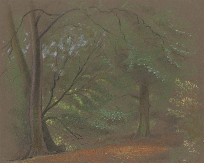 Fred Dymond - Mid 20th Century Pastel, Woodland Scene